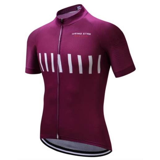 Purple Stripe Cycling Jersey Front View
