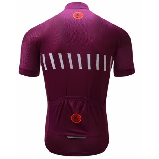 Purple Stripe Cycling Jersey Rear View